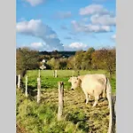 Lovely Meadow House In The Land Of Croix Scaille Nyaraló