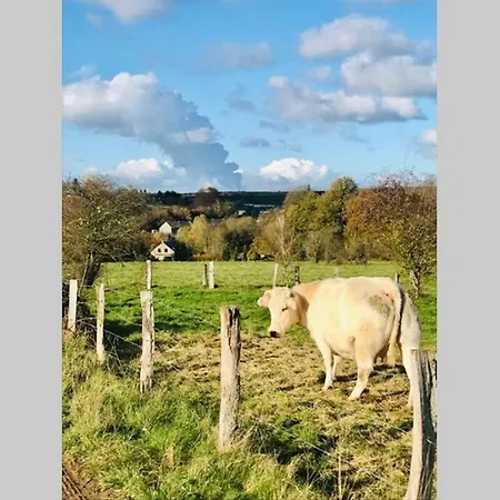 Lovely Meadow House In The Land Of Croix Scaille Hébergement de vacances